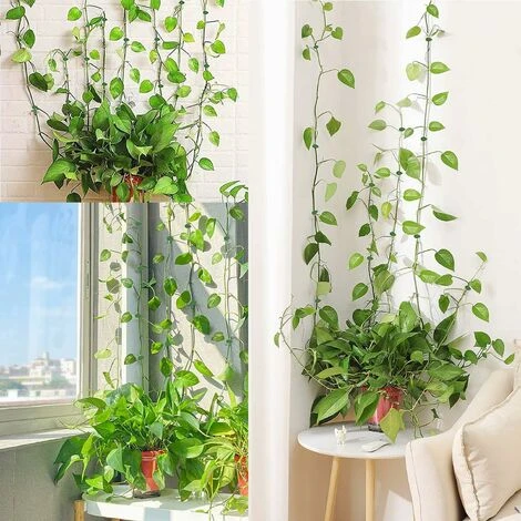 Clips Plantes Fixation De Plantes Grimpantes, Clips De Fixation De Support Auto-AdhéSifs Pour La DéCoration De La Maison Plantes Grimpantes (Verte) 20 Pcs,Lilaris 4 Clips Plantes Fixation De Plantes Grimpantes, Clips De Fixation De Support Auto-AdhéSifs Pour La DéCoration De La Maison Plantes Grimpantes (Verte) 20 Pcs,Lilaris – Image 4