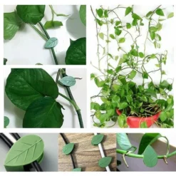 Clips Plantes Fixation De Plantes Grimpantes, Clips De Fixation De Support Auto-AdhéSifs Pour La DéCoration De La Maison Plantes Grimpantes (Verte) 20 Pcs,Lilaris 9 Clips Plantes Fixation De Plantes Grimpantes, Clips De Fixation De Support Auto-AdhéSifs Pour La DéCoration De La Maison Plantes Grimpantes (Verte) 20 Pcs,Lilaris -Promos Gout Cuisine Boutique 63824871 5