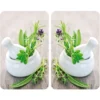 WENKO Protection Plaque De Cuisson, Couvre Plaque De Cuisson En Verre Herbes, Lot De 2, Verre Trempé, 30x52 Cm, Multicolore