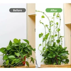 Promos Gout Cuisine Boutique -Promos Gout Cuisine Boutique 68589892 2