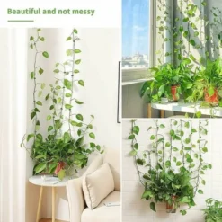 GP Lot De 100 Accessoires Muraux Pour Dosseret Clips De Montage Mural Pour Plantes Grimpantes, Clips Muraux Auto-adhésifs En Forme De Feuille Pour Plantes Grimpantes Murales -Promos Gout Cuisine Boutique 70541566 3