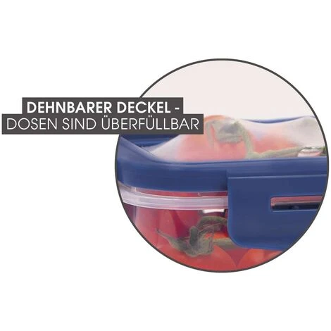 Set De Boîtes De Conservation Flex & Fresh Livington 4 Set De Boîtes De Conservation Flex & Fresh Livington – Image 4