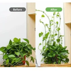 Promos Gout Cuisine Boutique -Promos Gout Cuisine Boutique 87815728 2