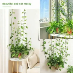 MAGIC Lot De 100 Accessoires Muraux De Crédence Clips De Fixation Murale Pour Plantes Grimpantes, Clips Muraux Auto-adhésifs En Forme De Feuille Pour Plantes Grimpantes Murales. -Promos Gout Cuisine Boutique 87815728 3
