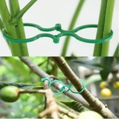 Tuteur Pour Végétaux 100 PCS Accessoires Muraux De Crédence Plante Twist Clip Attaches Plante Support Clips Légumes Tomate Vigne Fleur Clips Plante Serrures Pour Sécuriser Les Plantes. GHOST 9 Tuteur Pour Végétaux 100 PCS Accessoires Muraux De Crédence Plante Twist Clip Attaches Plante Support Clips Légumes Tomate Vigne Fleur Clips Plante Serrures Pour Sécuriser Les Plantes. GHOST -Promos Gout Cuisine Boutique 88242924 5